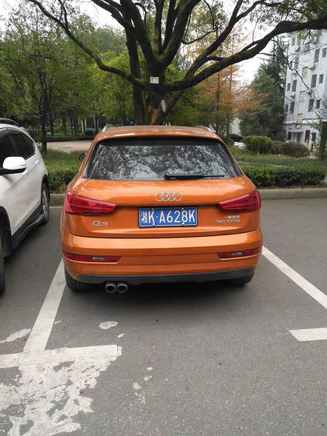 反向停車、研究生