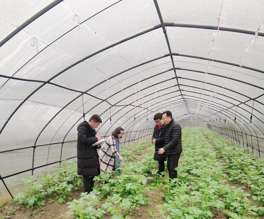 圖為石瀟純、楊金含在泗元家庭農場種植基地進行現(xiàn)場教學