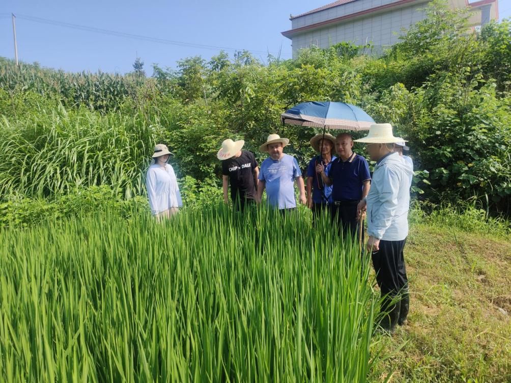 科学调度，全力推进校外基地农业科研试验工作