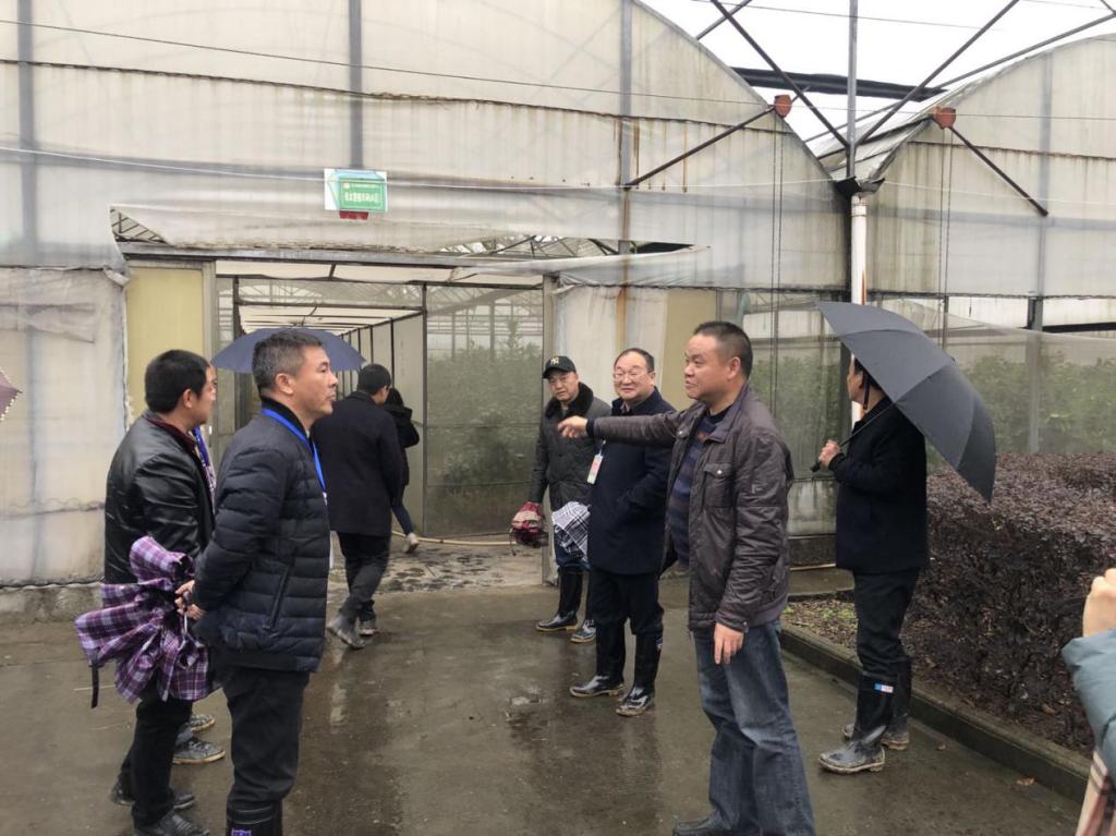 圖三 考察母本繁殖車間