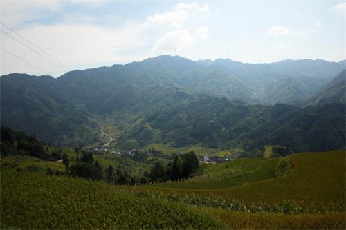 天門土坪梯田(楊智攝影)