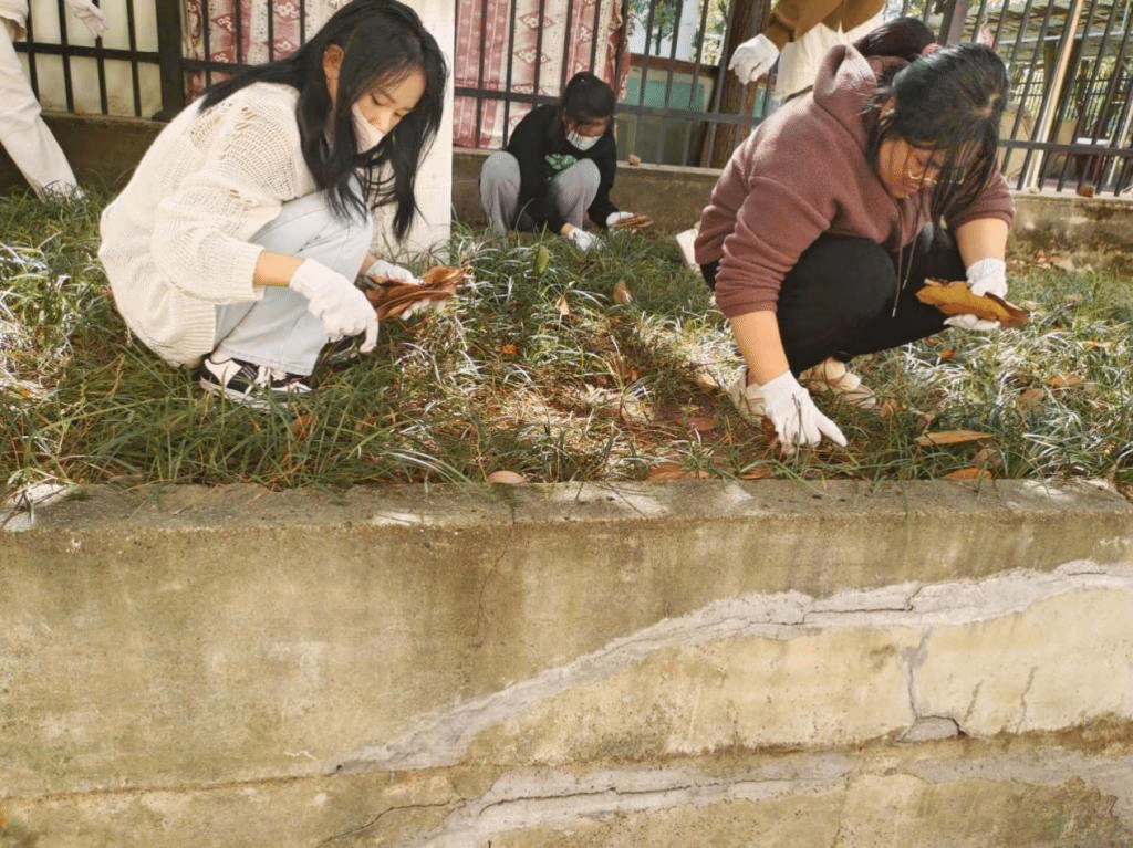 同學們正在清理落葉和白色垃圾