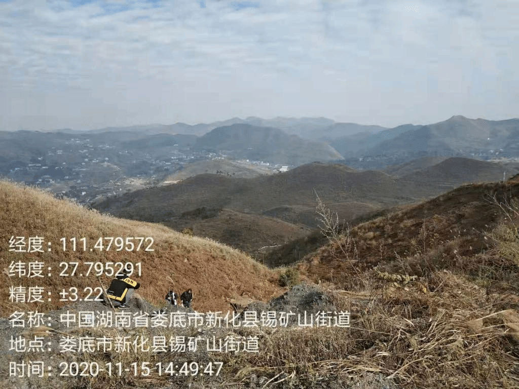 調(diào)查錫礦山富集植物圖