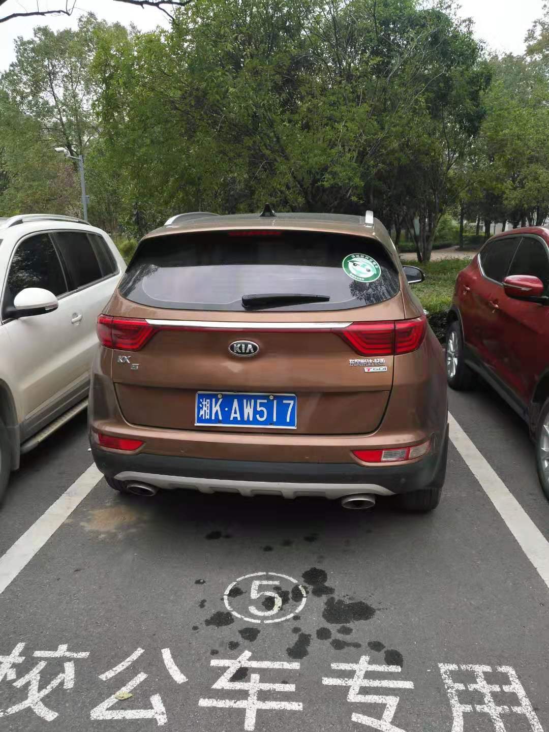 反向停車