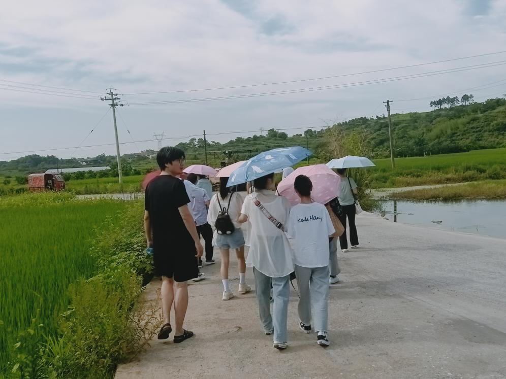 圖二 考察團(tuán)隊(duì)對(duì)試驗(yàn)田進(jìn)行參觀