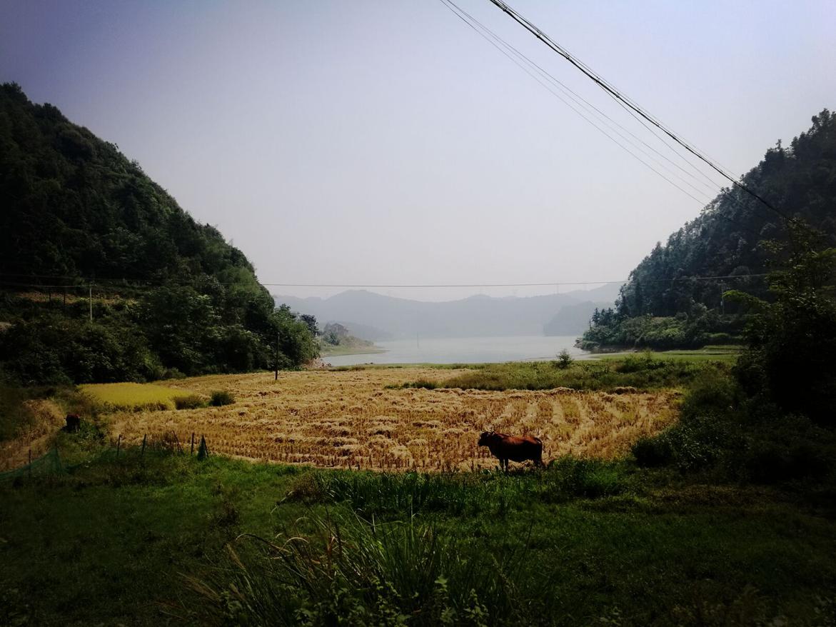 合東水庫