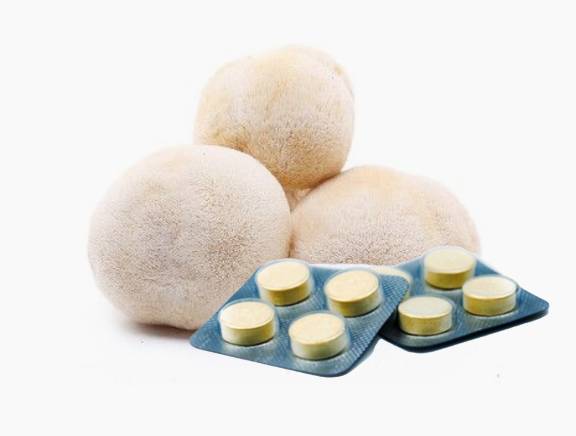 猴頭菇壓片糖果代加工